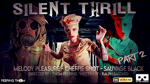 Silent Thrill Vr Part 02 - Cheffie Shot, Sauvage Black And Melody Pleasure - porn video